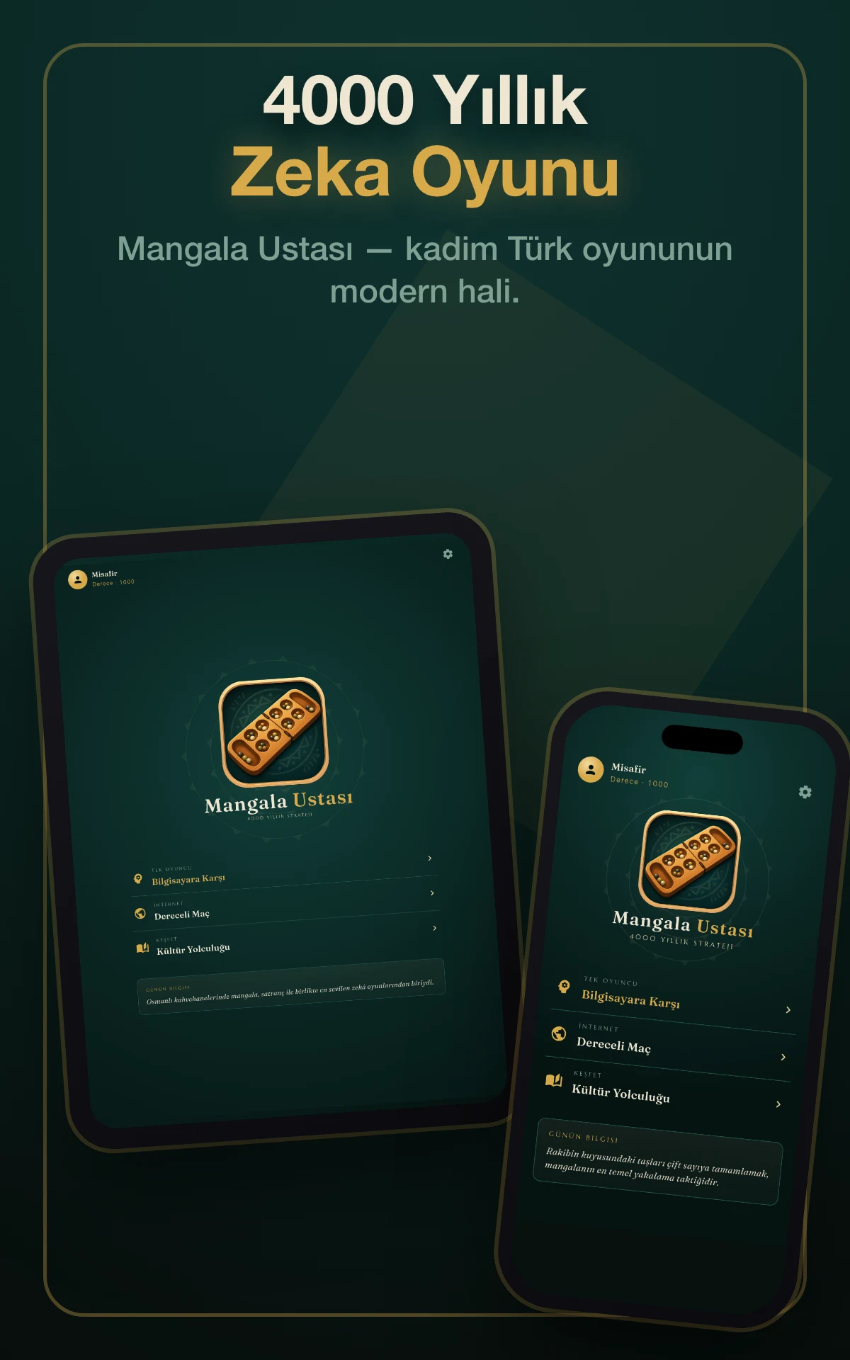 Mangala Oyunu: Zeka Oyunları screenshot